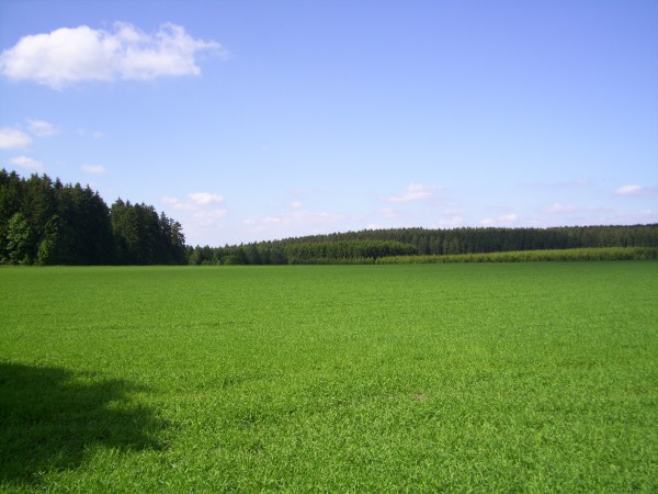 Mausbergwanderung