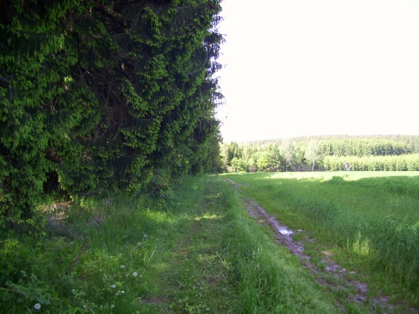 Mausbergwanderung