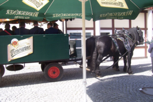 Festveranstaltung in der Biertenne